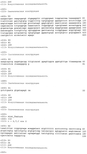 Варианты изопренсинтазы, применяемые для улучшения продуцирования изопрена микроорганизмами (патент 2516343)