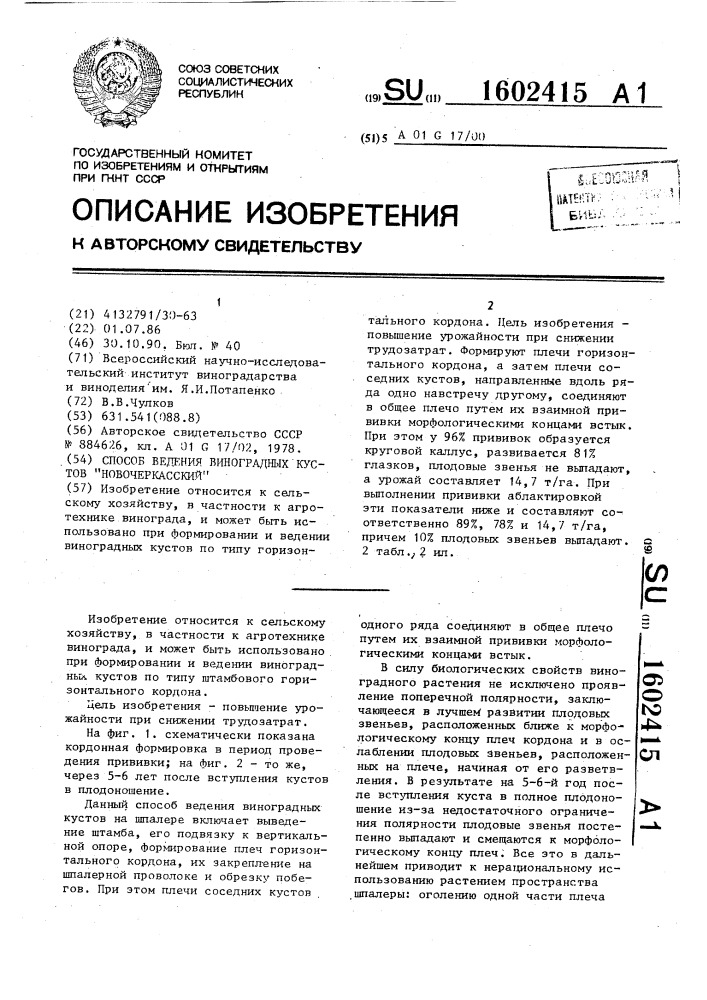 Способ ведения виноградных кустов "новочеркасский (патент 1602415)