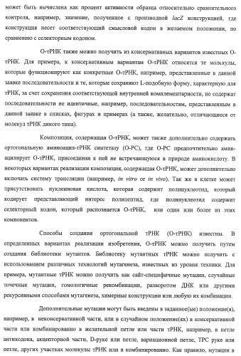 Система экспрессии компонентов ортогональной трансляции в эубактериальной клетке-хозяине (патент 2467069)