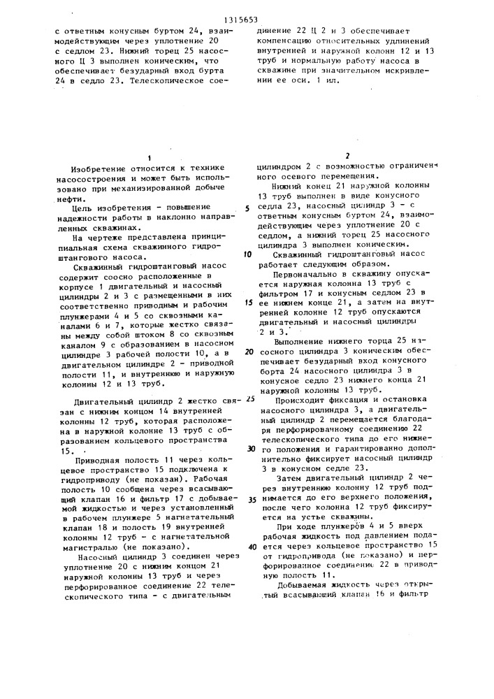 Скважинный гидроштанговый насос (патент 1315653)