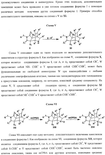 Конденсированные гетероциклические сукцинимидные соединения и их аналоги как модуляторы функций рецептора гормонов ядра (патент 2330038)