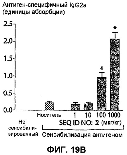 Полумягкие иммуностимулирующие олигонуклеотиды с-класса (патент 2393223)