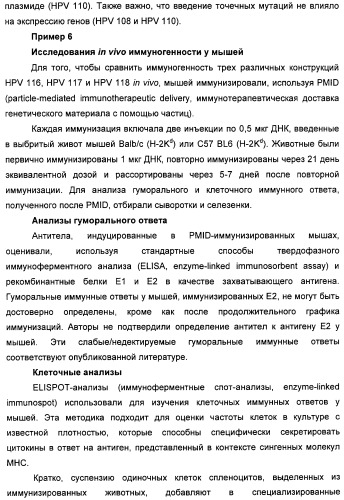 Полинуклеотидная последовательность, кодирующая полипептид вируса папилломы человека, ее применение, а также содержащие ее вектор и фармацевтическая композиция (патент 2354701)