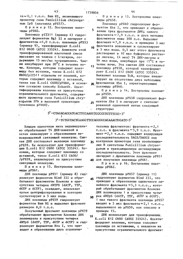 Способ конструирования рекомбинантной плазмидной днк, кодирующей фермент деацетоксицефалоспорин с синтетазу/деацетилцефалоспорин с синтетазу (патент 1739856)