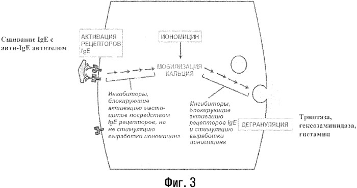 Способы лечения или профилактики аутоиммунных заболеваний с помощью соединений 2,4-пиримидиндиамина (патент 2376992)