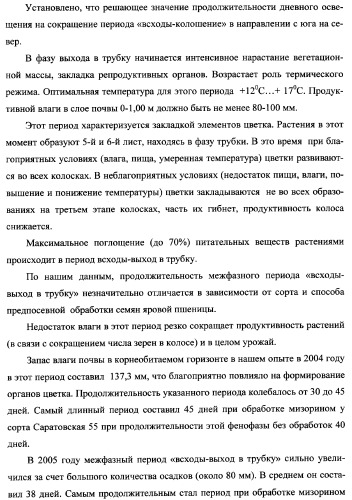 Способ возделывания яровой пшеницы предпочтительно в зоне светло-каштановых почв нижнего поволжья (варианты) (патент 2348137)