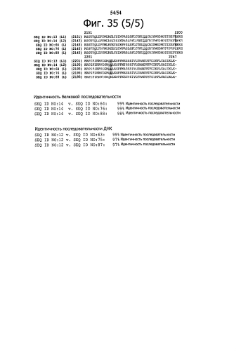 Способ получения рекомбинантного вирусного вектора apmv-8 (патент 2592544)