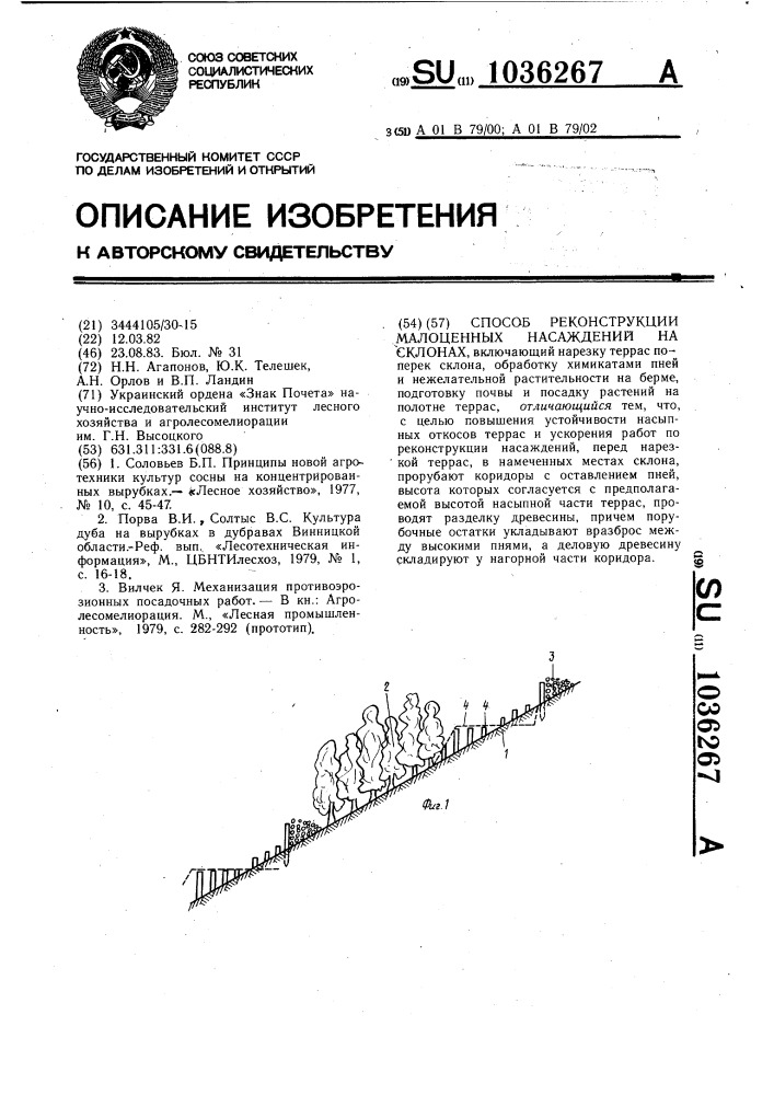 Способ рекультивации малоценных насаждений на склонах (патент 1036267)