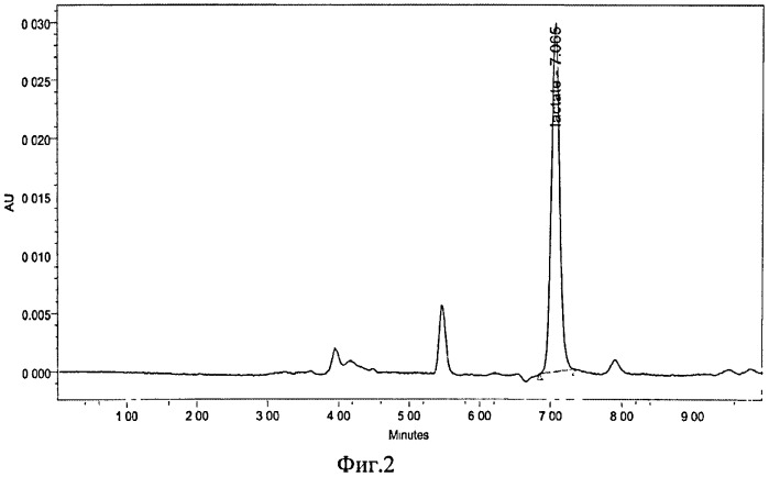 Рекомбинантный штамм дрожжей schizosaccharomyces pombe - продуцент молочной кислоты (патент 2539092)