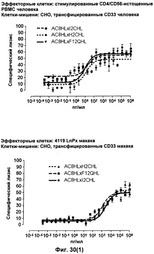 Pscaxcd3, cd19xcd3, c-metxcd3, эндосиалинxcd3, epcamxcd3, igf-1rxcd3 или fap-альфаxcd3 биспецифическое одноцепочечное антитело с межвидовой специфичностью (патент 2547600)