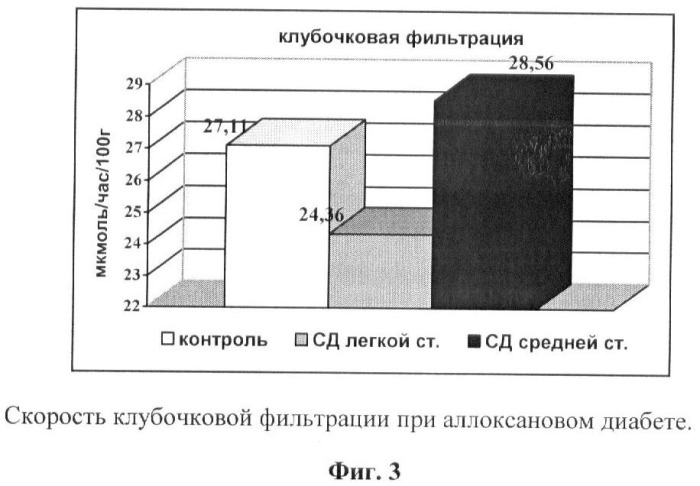 Способ лечения нефроангиопатии при аллоксановом диабете у экспериментальных животных (патент 2372898)