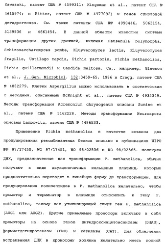 Новый лиганд рецептора цитокина zcytor17 (патент 2360923)