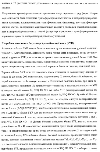 Растения, имеющие улучшенные характеристики роста, и способы их получения (патент 2463352)