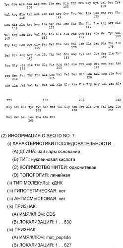 Очищенные белки оболочки вируса гепатита с для диагностического и терапевтического применения (патент 2313363)