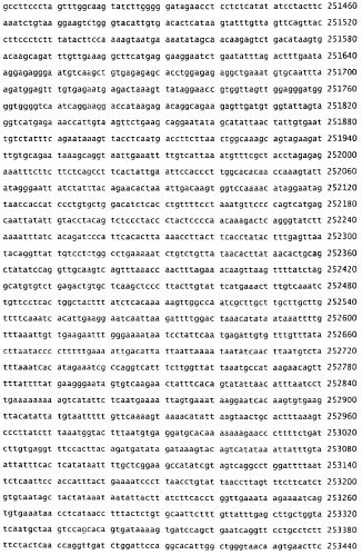 Применение s1p (патент 2362565)
