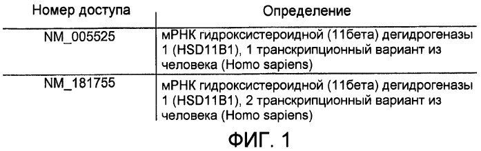 Модулирование экспрессии 11бета-гидроксистероидной дегидрогеназы 1 для лечения глазных болезней (патент 2420582)