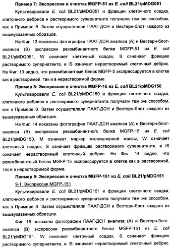 Биоадгезив мидии (патент 2349599)