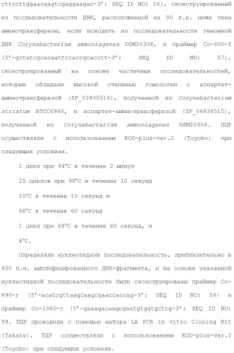 Способ получения монатина (патент 2505606)