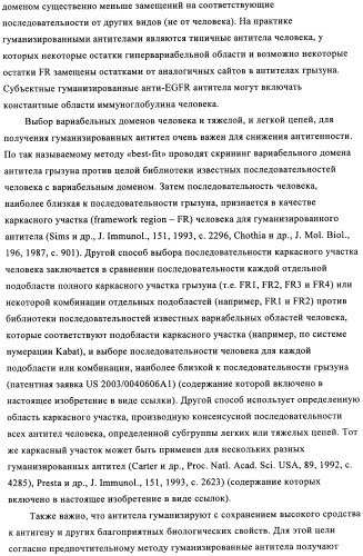 Антигенсвязывающие молекулы, которые связывают рецептор эпидермального фактора роста (egfr), кодирующие их векторы и их применение (патент 2457219)