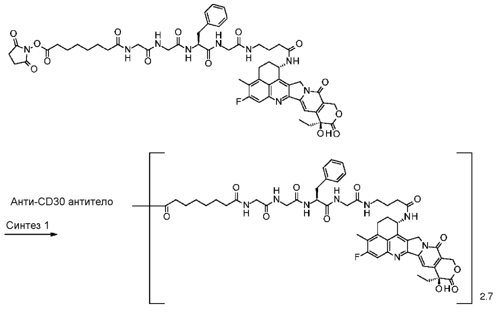 Конъюгат антитело-лекарственное средство (патент 2664465)