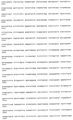 Антитела к рецептору конечных продуктов глубокого гликирования (rage) и их применения (патент 2518351)