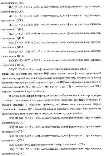 Новые растения кукурузы (патент 2423528)