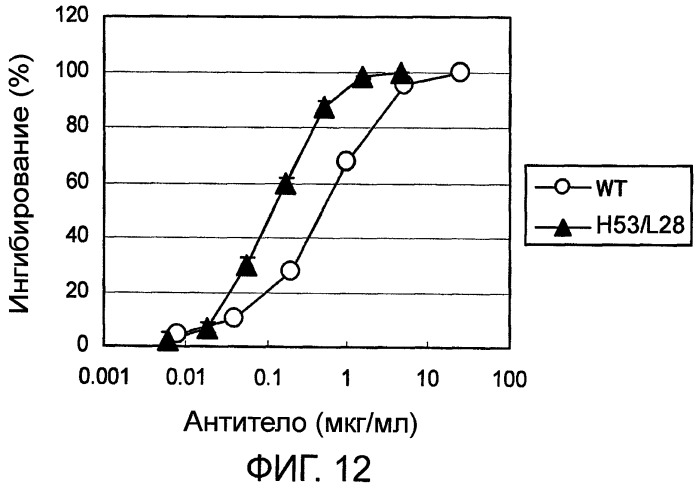 Способ модификации изоэлектрической точки антитела с помощью аминокислотных замен в cdr (патент 2510400)