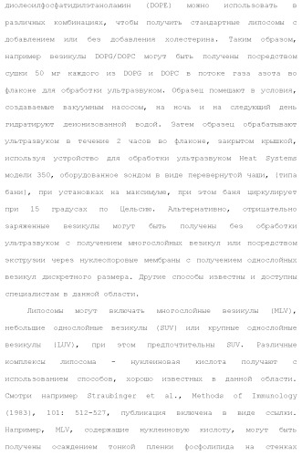 Слитые белки альбумина (патент 2369404)