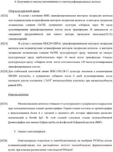 Конструкции слияния и их применение для получения антител с повышенными аффинностью связывания fc-рецептора и эффекторной функцией (патент 2407796)