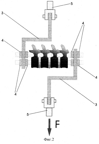 Способ моделирования сдвигающих нагрузок на позвоночные сегменты в эксперименте (патент 2260855)