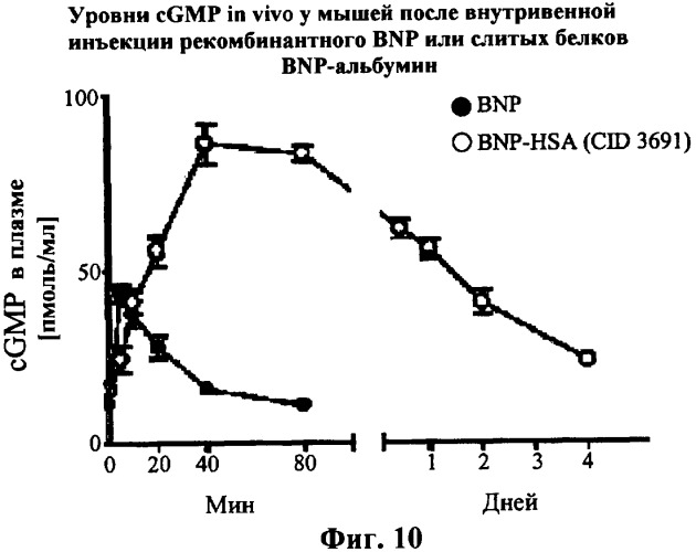 Слитые белки альбумина (патент 2369404)