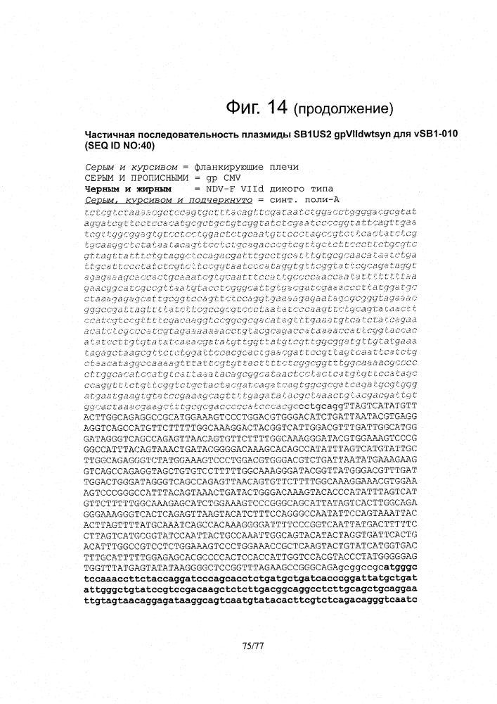 Рекомбинантные векторы hvt, экспрессирующие антигены патогенов птиц и их применение (патент 2620936)