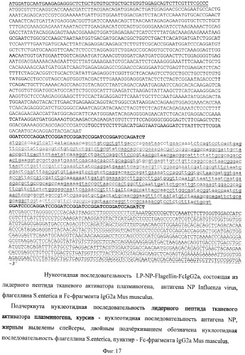 Способ получения рекомбинантной вакцины (патент 2444570)