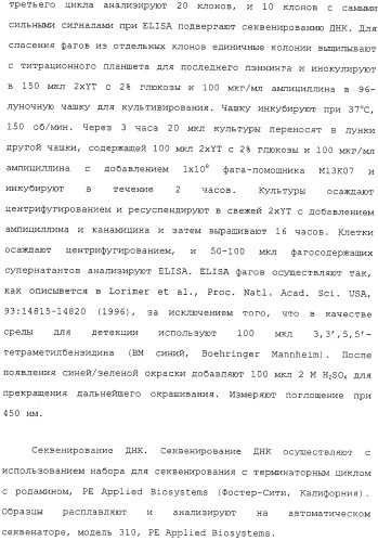 Scfv против egfrviii с улучшенной цитотоксичностью и выходом, иммунотоксины на их основе и способы их применения (патент 2317999)