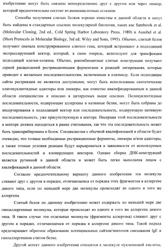 Гипоаллергенный слитый белок, молекула нуклеиновой кислоты, кодирующая его, вектор экспрессии, клетка-хозяин, вакцинная композиция и его применение (патент 2486206)