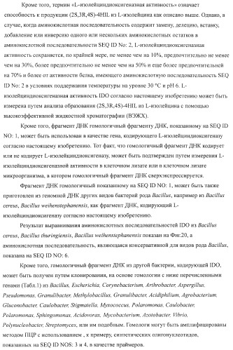 Способ продукции 4-гидрокси-l-изолейцина (патент 2402608)