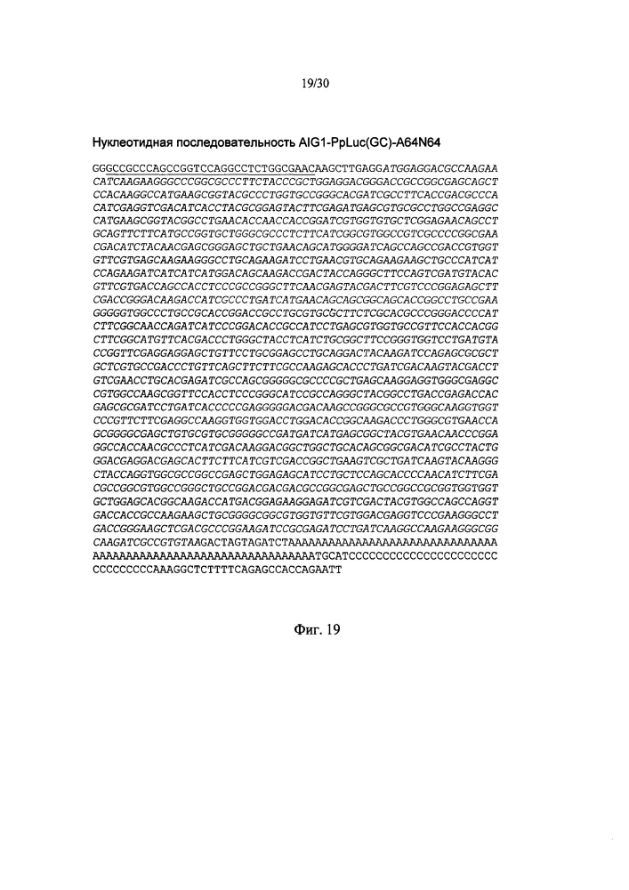 Молекулы искусственной нуклеиновой кислоты, содержащие 5'utr гена top (патент 2660565)