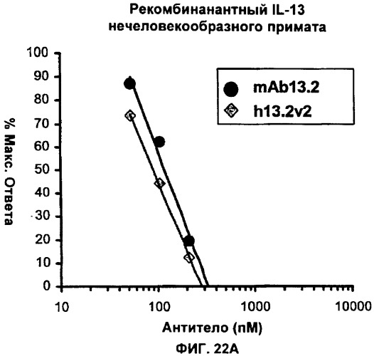Антитела против интерлейкина-13 человека и их применение (патент 2427589)