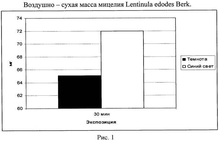 Способ выращивания мицелия lentinula edodes berk. (патент 2453590)