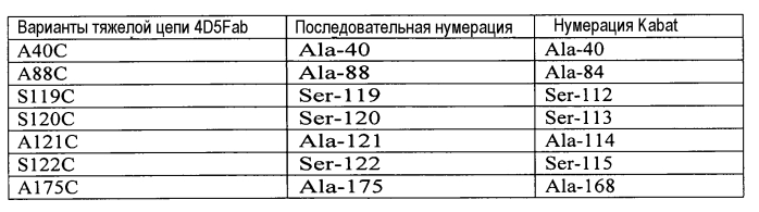 Конъюгаты меченных радиоактивным цирконием сконструированных антител с цистеиновыми заменами (патент 2562862)