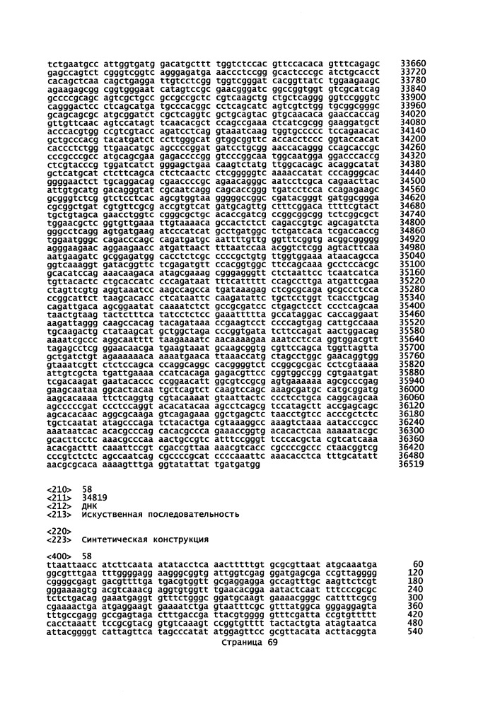 Векторы для экспрессии простатоассоциированных антигенов (патент 2650860)