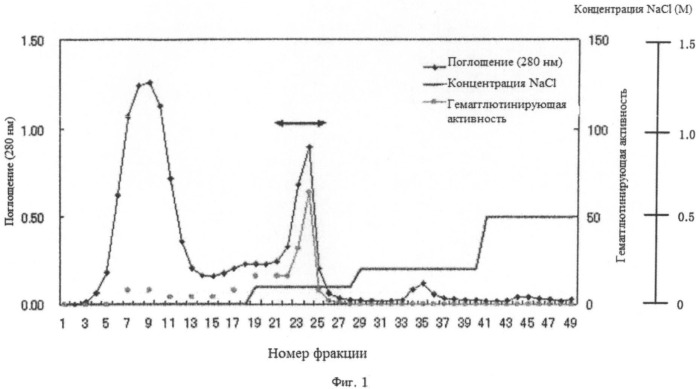 Способ диагностики рака поджелудочной железы (патент 2533219)