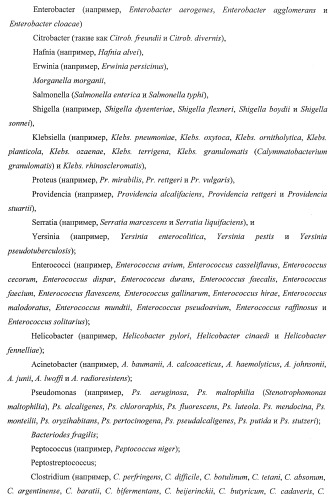 Применение соединений пирролохинолина для уничтожения клинически латентных микроорганизмов (патент 2404982)