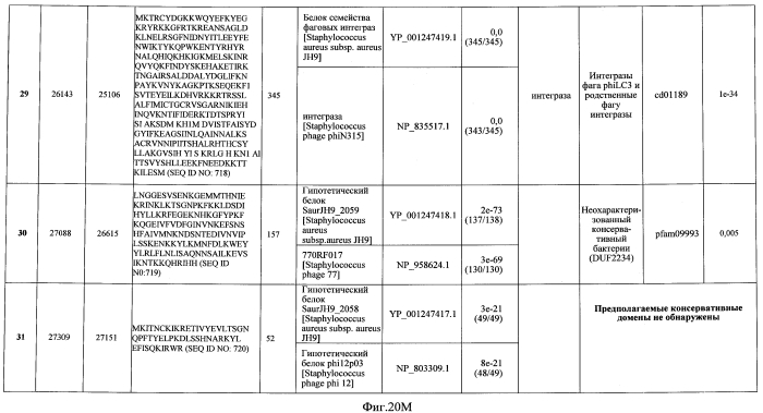 Бактериофаг, обладающий активностью против pseudomonas aeruginosa, белки бактериофага и способы их применения (патент 2580248)