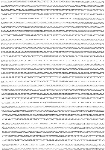 Применение s1p (патент 2362565)