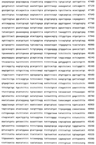 Применение s1p (патент 2362565)