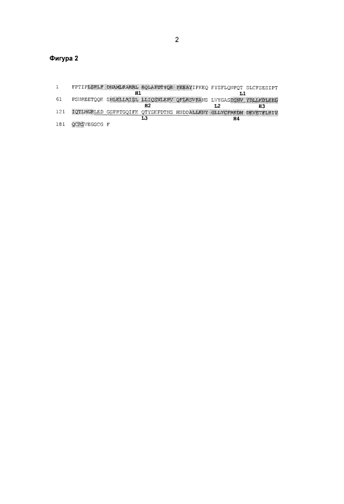 Гормоны роста с пролонгированной эффективностью in vivo (патент 2605627)