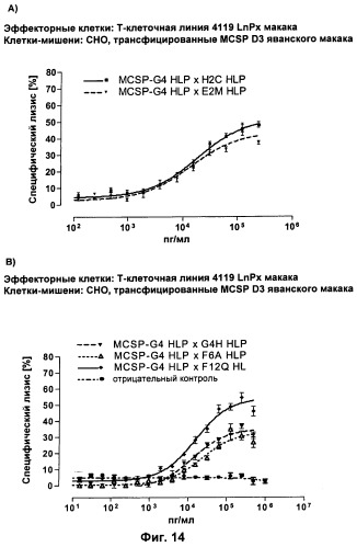 Pscaxcd3, cd19xcd3, c-metxcd3, эндосиалинxcd3, epcamxcd3, igf-1rxcd3 или fap-альфаxcd3 биспецифическое одноцепочечное антитело с межвидовой специфичностью (патент 2547600)