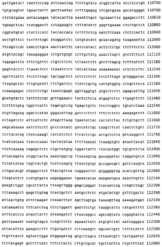 Применение s1p (патент 2362565)