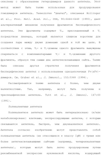 Антитела против вируса гепатита с (патент 2462475)